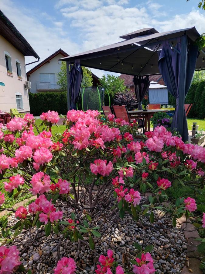Studio Apartma Zirovnik แซเคลียนาโกเรนสเคม ภายนอก รูปภาพ